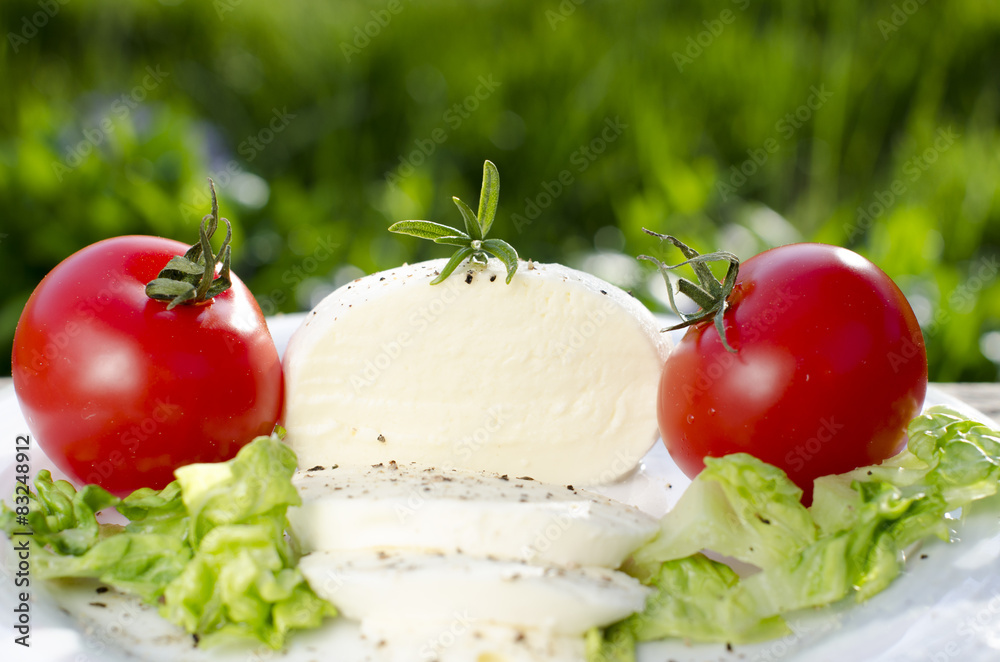 Mozzarella tomatoes, salad on a green background Mozzarella tomatoes, salad on a green background