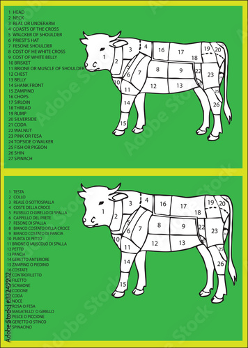 carne bovina