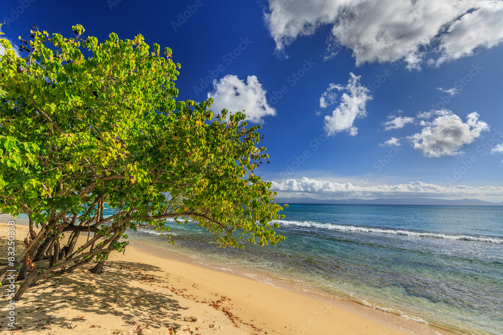 Guadeloupe - Plage du Souffleur Guadeloupe - Plage du Souffleur