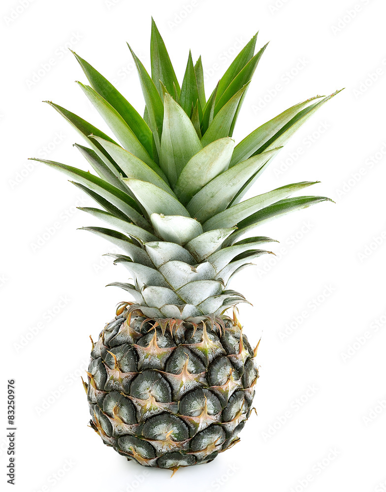 pine apple on white background,isolate fruits. pine apple on white background,isolate fruits.
