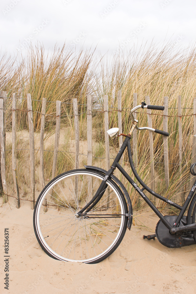 Fototapeta premium Hollandrad am Strand