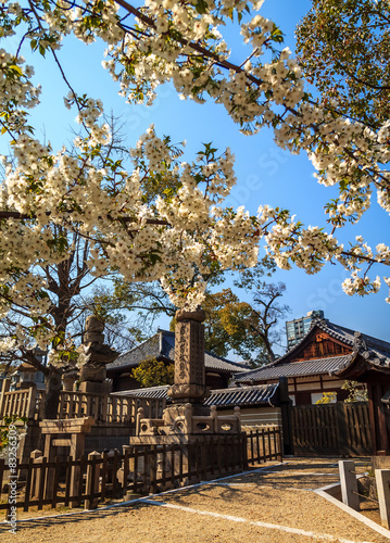 Świątynia japońska w Kioto © onedi