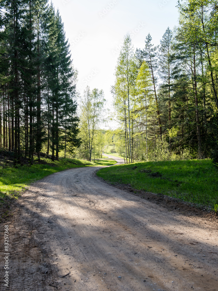 Obraz premium empty country road in forest