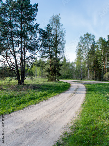 empty country road in forest