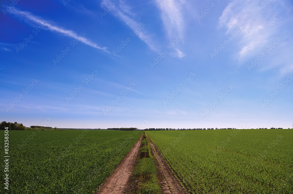 green field road divided in half