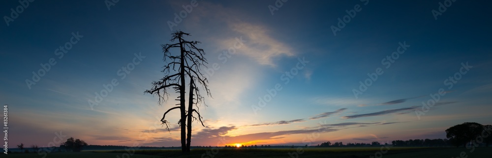 Fototapeta premium Sunrise over green field