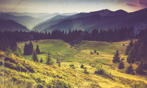 Beautiful summer landscape in the mountains.