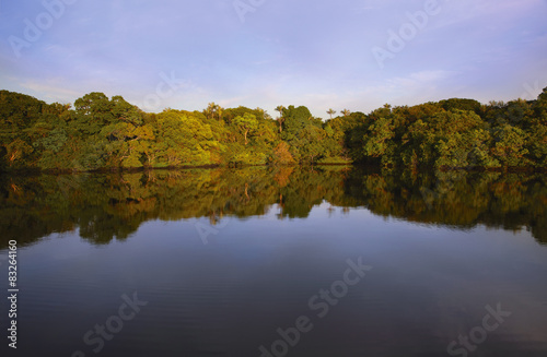 Fototapeta Naklejka Na Ścianę i Meble -  Sunset on the Rio Negro in the Amazon River basin, Brazil