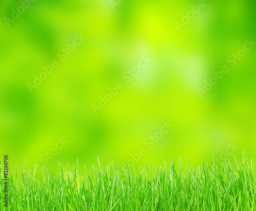  grass