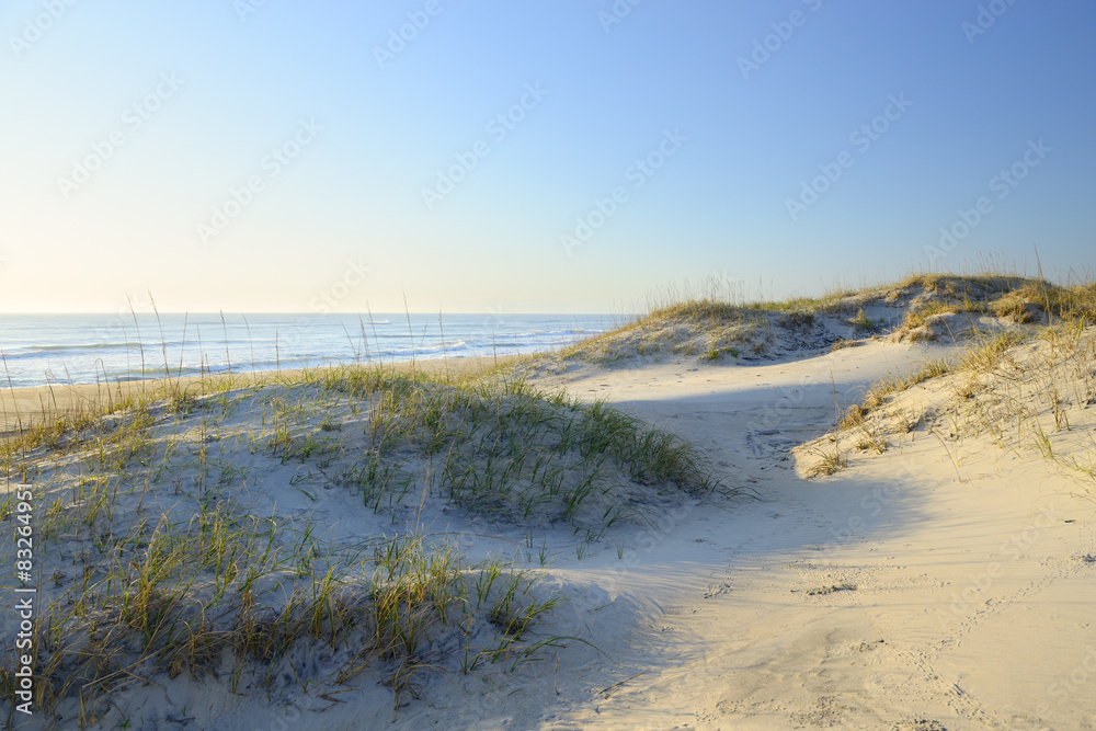 Sand Dunes in Early Morning Sun Light - Outer Banks, NC Sand Dunes in Early Morning Sun Light - Outer Banks, NC