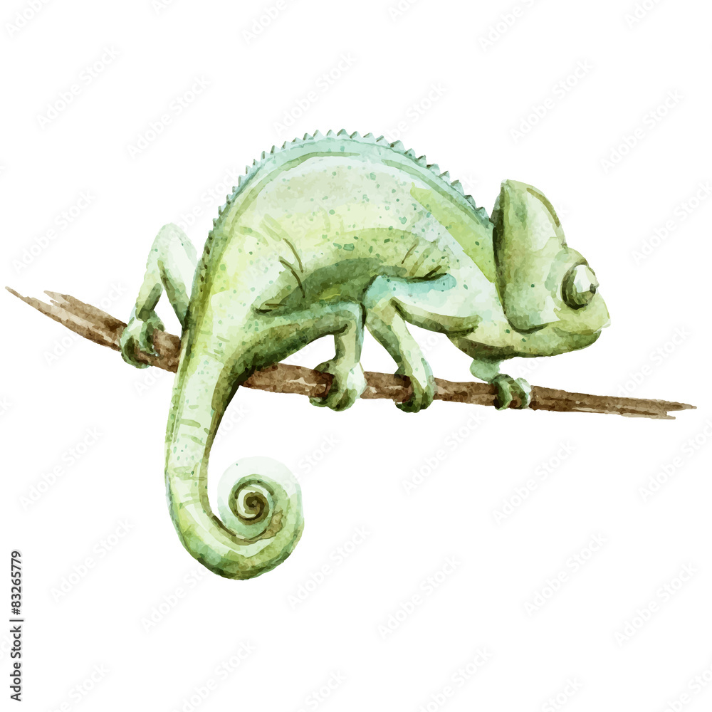 Naklejka premium Chameleon