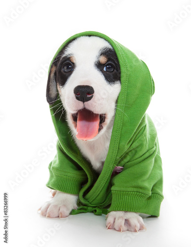 puppy T-shirt with pink tongue