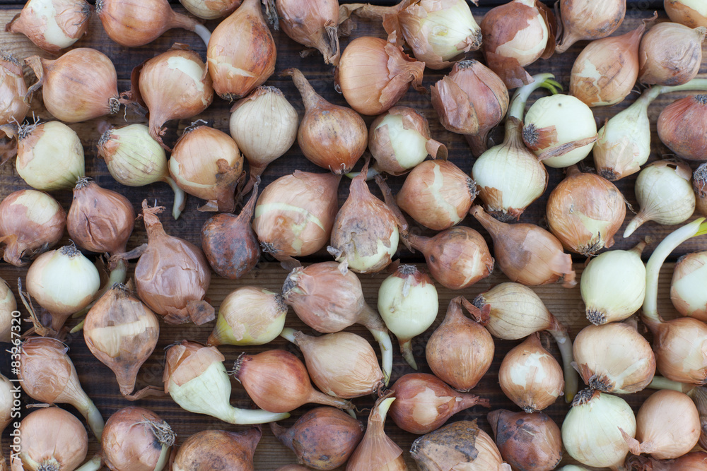 small onions on a wooden background small onions on a wooden background