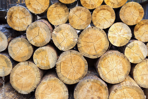 a pile of cut wood stump log texture
