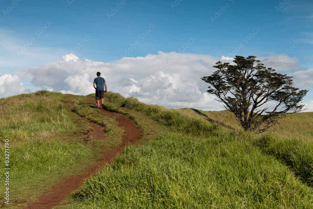 Man walks on the trail at the top of the hill