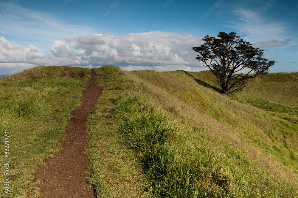 Obraz premium Walkway on the top of a hill