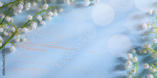 Fototapeta Naklejka Na Ścianę i Meble -  art Beautiful may Lily Flowers Border