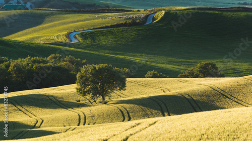 Summer pastoral green field with long shadows in Tuscany  Italy