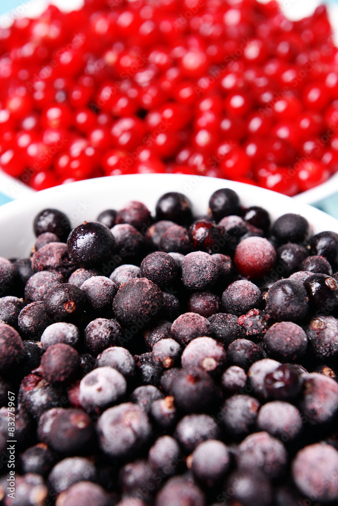 Blackberry with cranberries in bowls close up Blackberry with cranberries in bowls close up