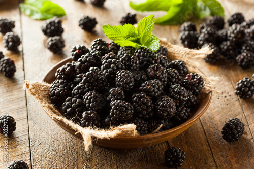 Fresh Raw Organic Blackberries