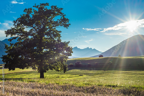 Fietch fields on Sonnenplateau, Austria photo