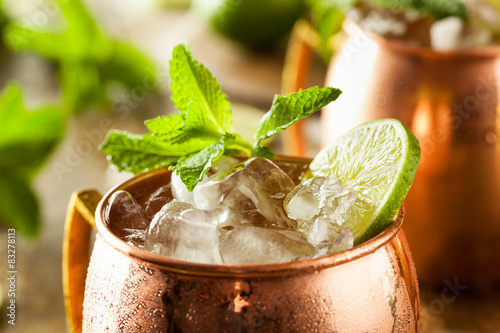 Photography Icy Cold Moscow Mules