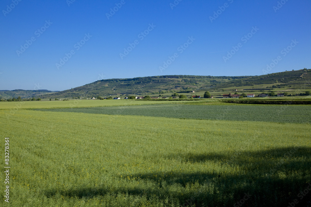 ヴァッハウ渓谷の田園風景