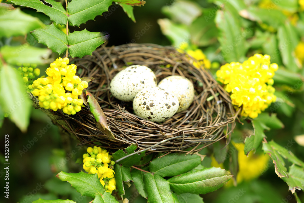 Wicker nest with eggs over green tree background