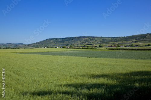 ヴァッハウ渓谷の田園風景 © san724