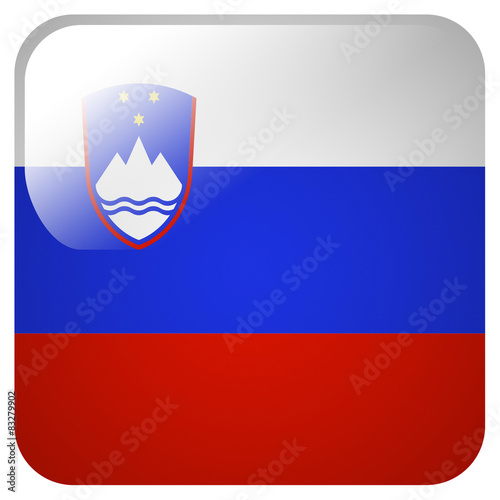 Glossy icon with flag of Slovenia
