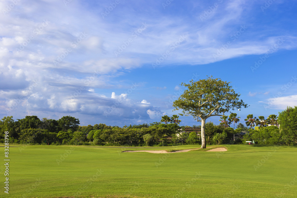 Fototapeta premium Beautiful View of Green Golf Field