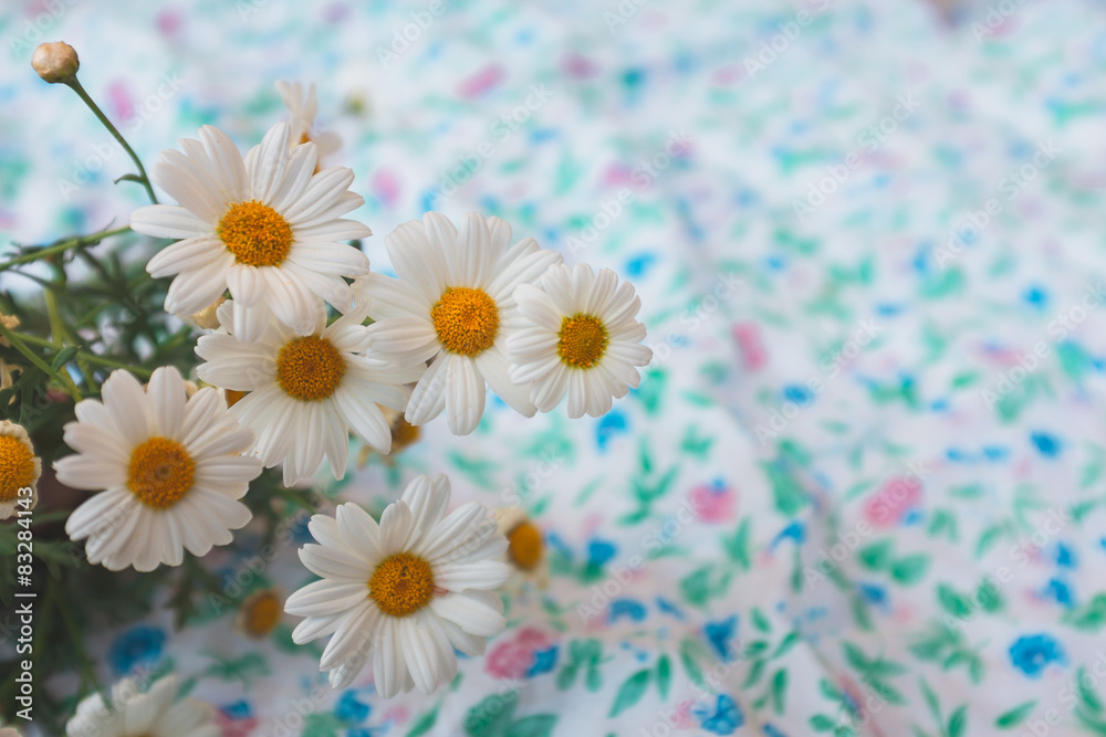 Obraz premium Bouquet of chamomile and daisy's of field series