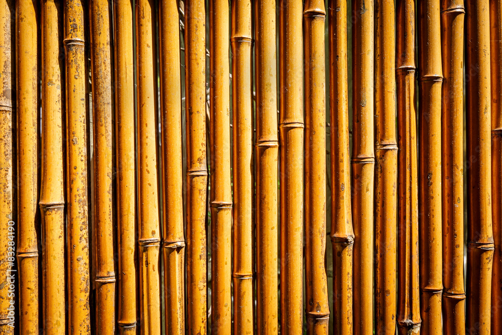 Naklejka premium bamboo background