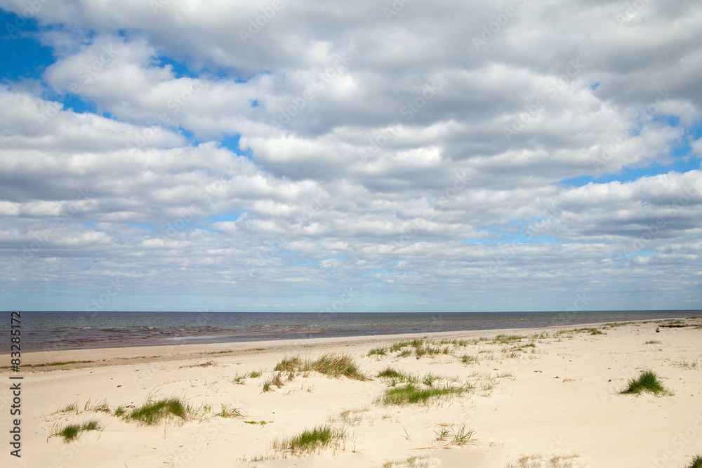 Grass in sand at Baltic sea.