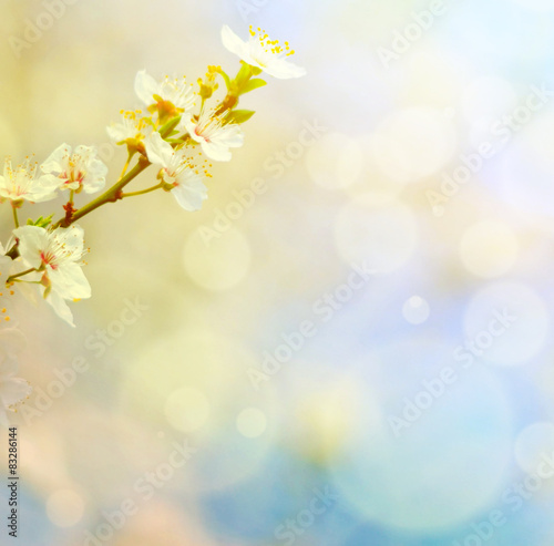 Spring flowers against blue bokeh background