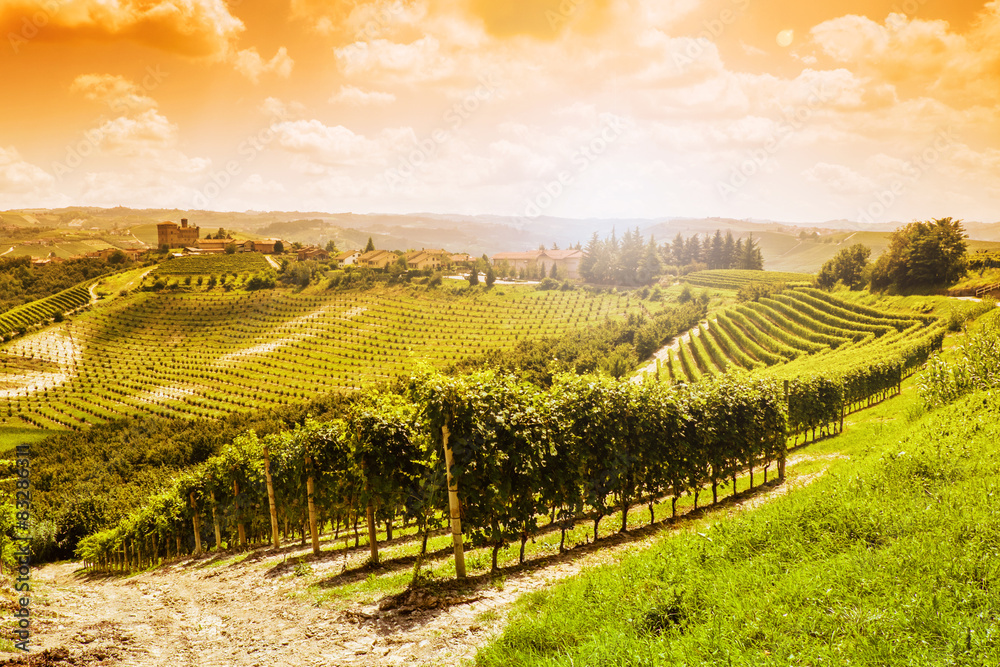 Fototapeta premium Grinzane Cavour Castle pośrodku winnic Langhe
