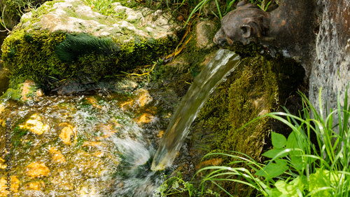 Fotografia A lion shape fountain gushing water stream into the creek