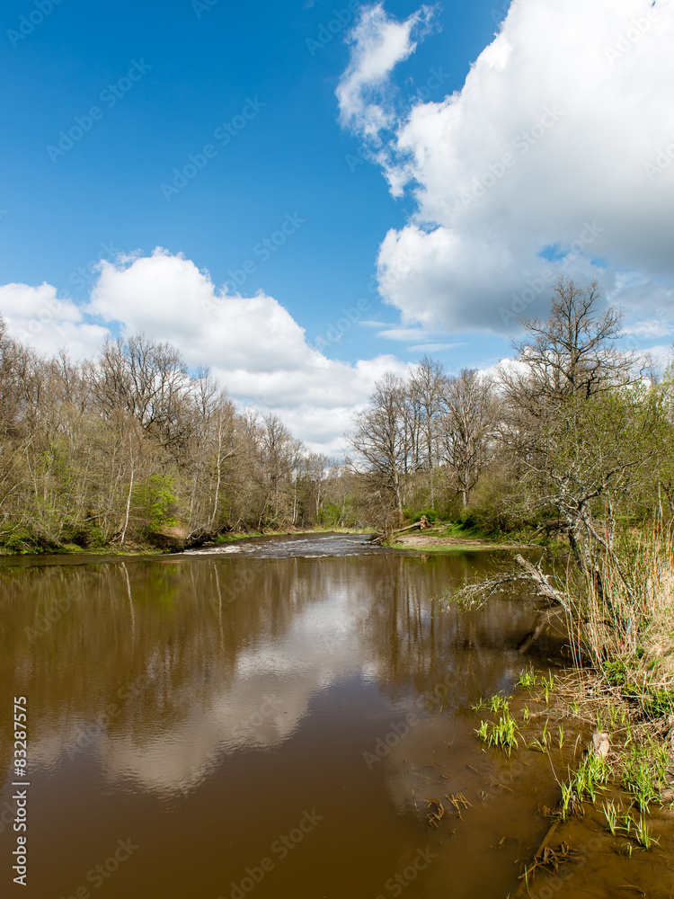 scenic reflections of trees and clouds in water scenic reflections of trees and clouds in water