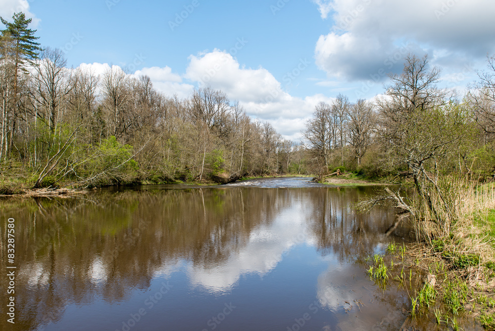 Obraz premium scenic reflections of trees and clouds in water