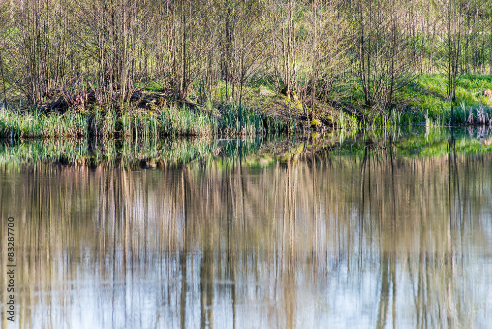 scenic reflections of trees and clouds in water scenic reflections of trees and clouds in water