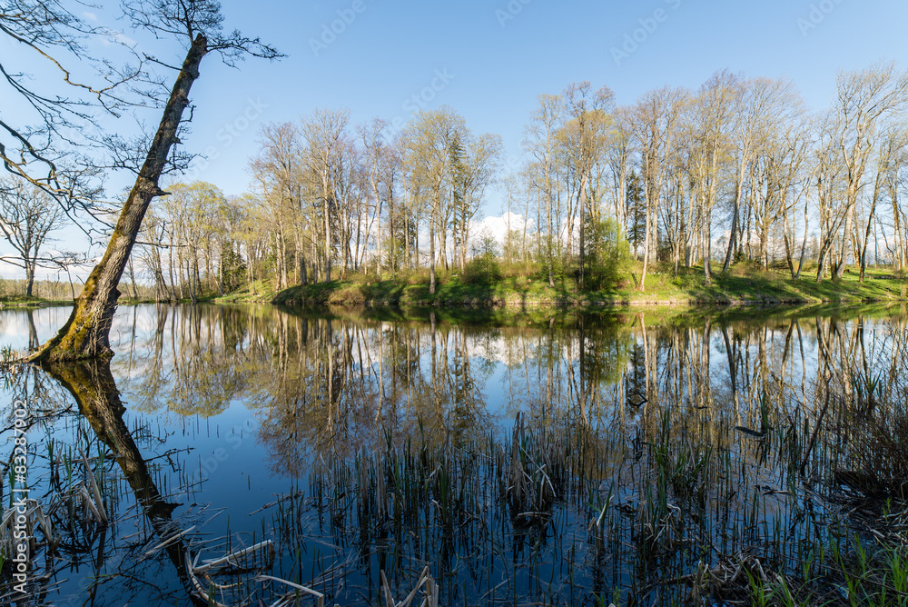 scenic reflections of trees and clouds in water scenic reflections of trees and clouds in water