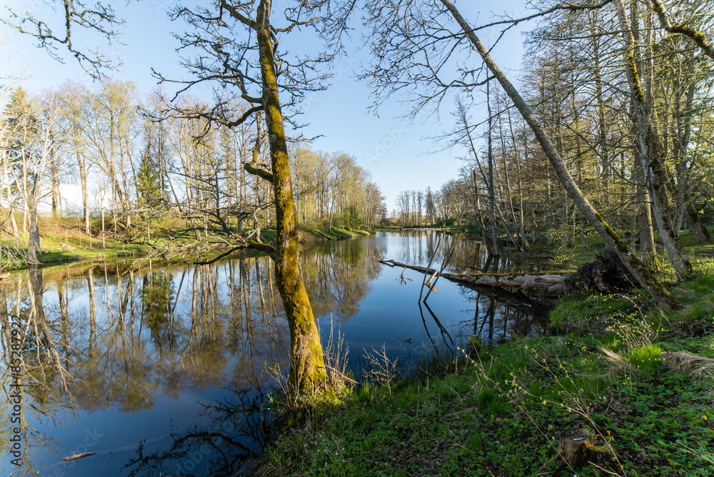 scenic reflections of trees and clouds in water scenic reflections of trees and clouds in water