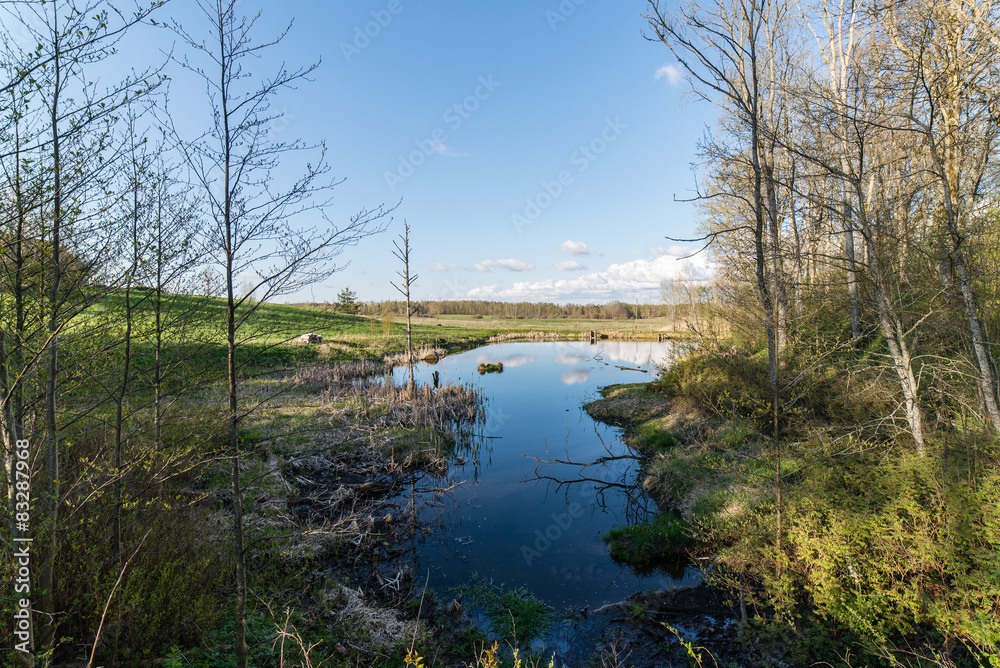 Fototapeta premium scenic reflections of trees and clouds in water