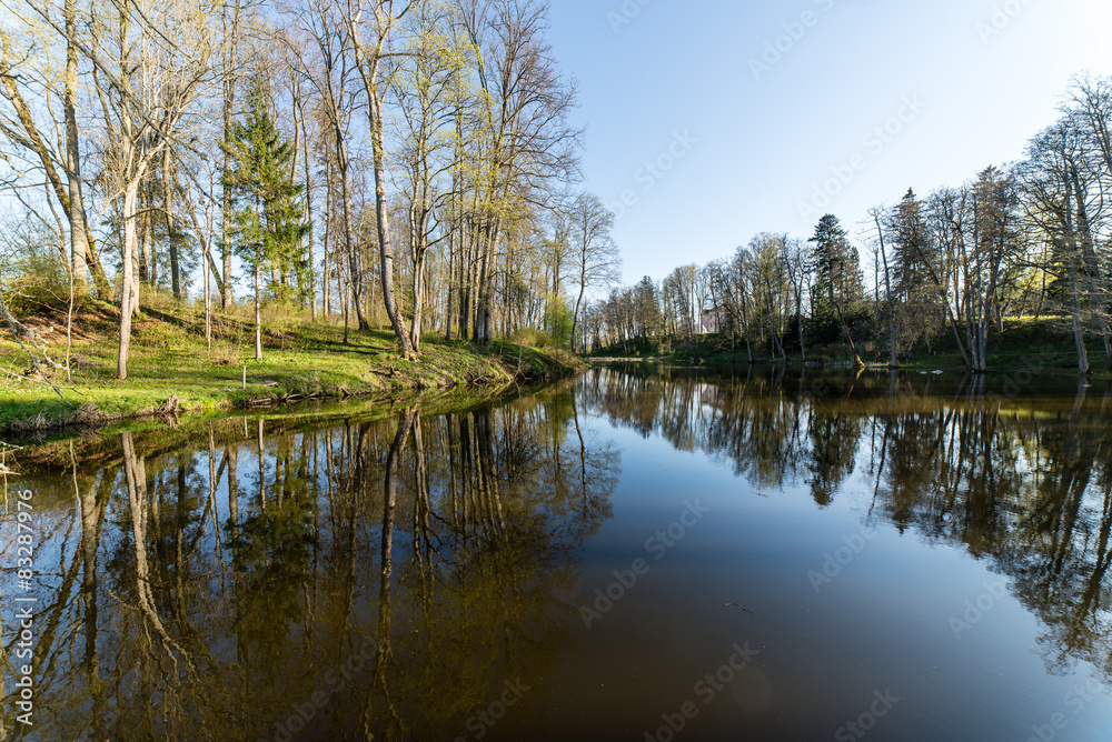 scenic reflections of trees and clouds in water scenic reflections of trees and clouds in water