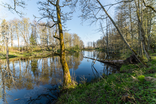 scenic reflections of trees and clouds in water