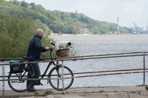 Elbe Hund Fahrrad
