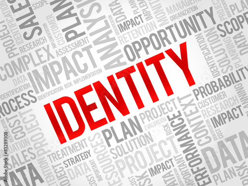 IDENTITY word cloud, business concept
