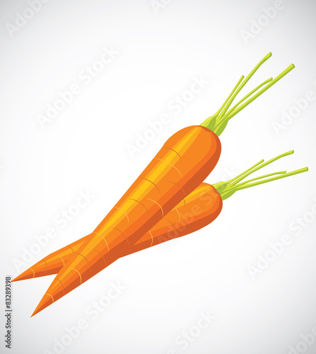 Carrot vector