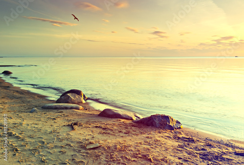 Coastal landscape at sandy beach of the Baltic Sea, Latvia. © sergei_fish13