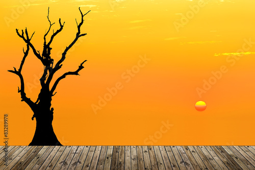 Fototapeta Naklejka Na Ścianę i Meble -  Death tree and wooden board against sunlight over sky background